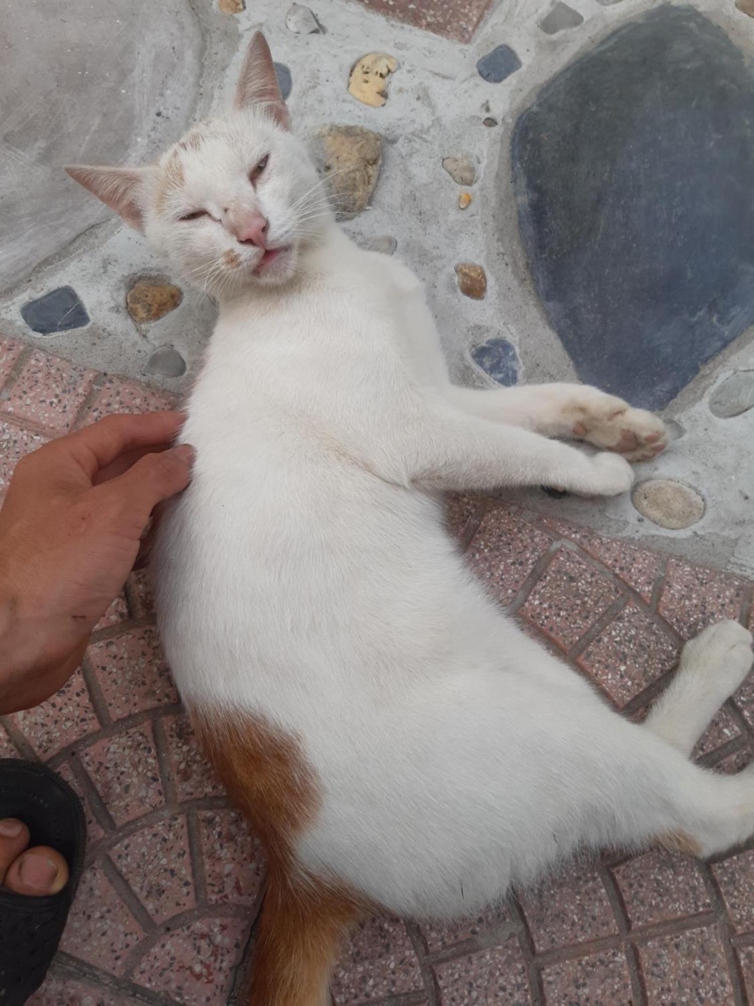 Central Hills Cat Ba Xuan Dam Bagian luar foto